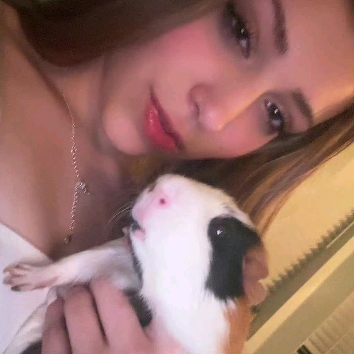 Skylar.gaai