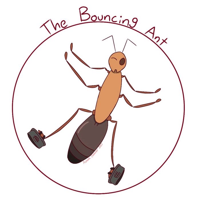 TheBouncingAnt