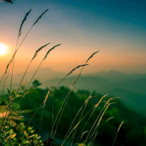 ❤️Tâm Trạng cuộc sống❤️