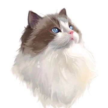 user4580051472582