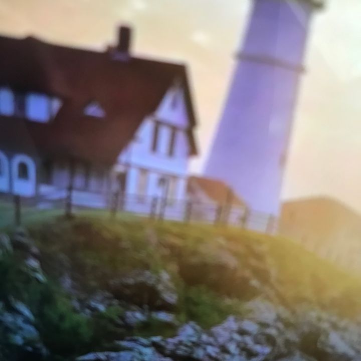 Thomassusanevrog
