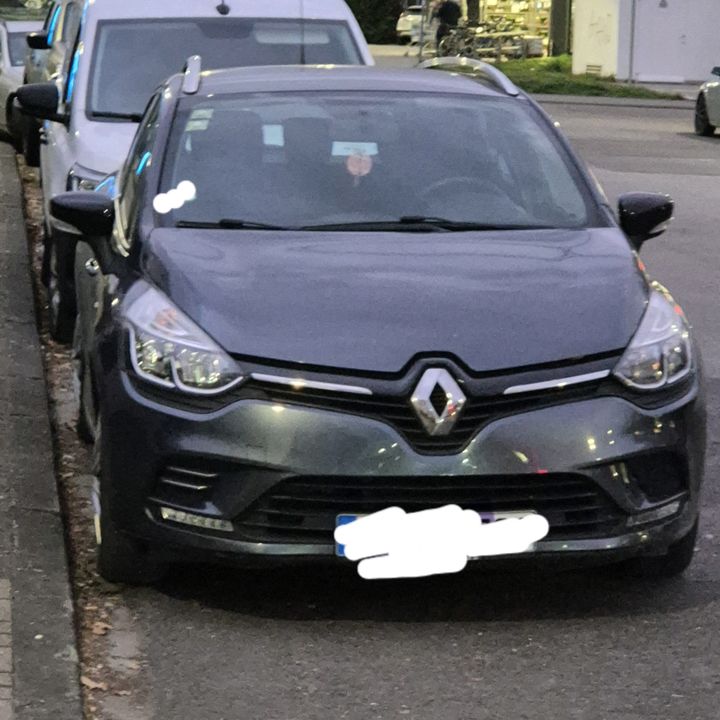 DailyRenaultLife