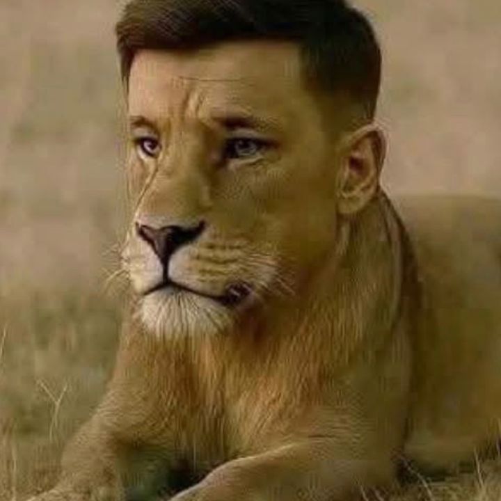 zeko