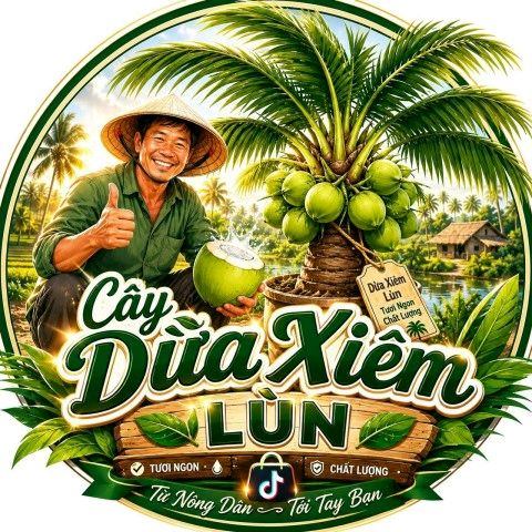 Cây giống dừa xiêm
