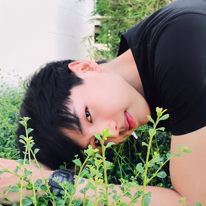 xinjia_thanasit