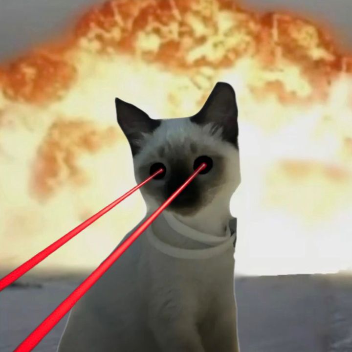 ɢᴜᴍᴍʏʙᴇᴀʀꨄ🪷