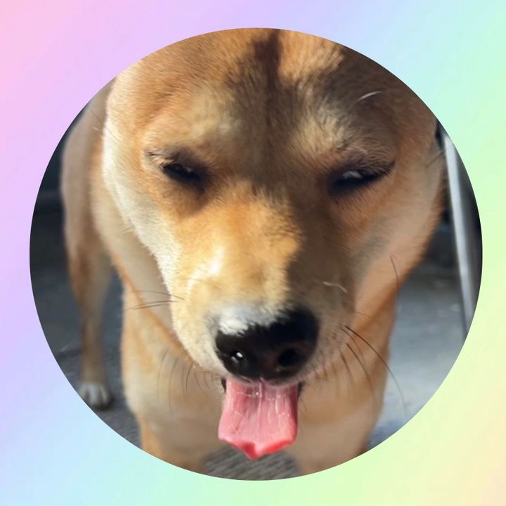 gingerandtootsspam