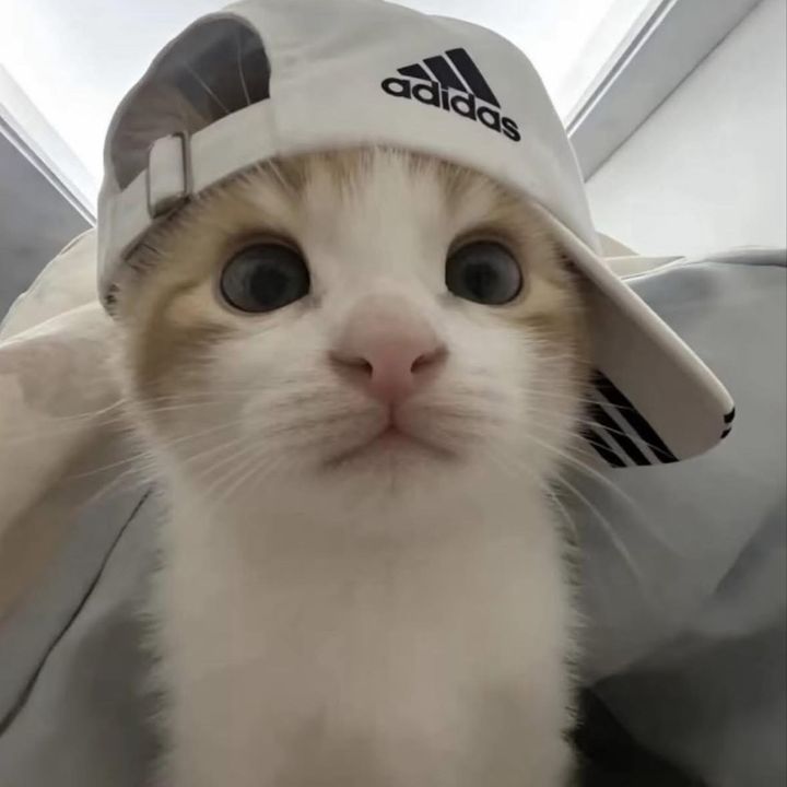 藍良