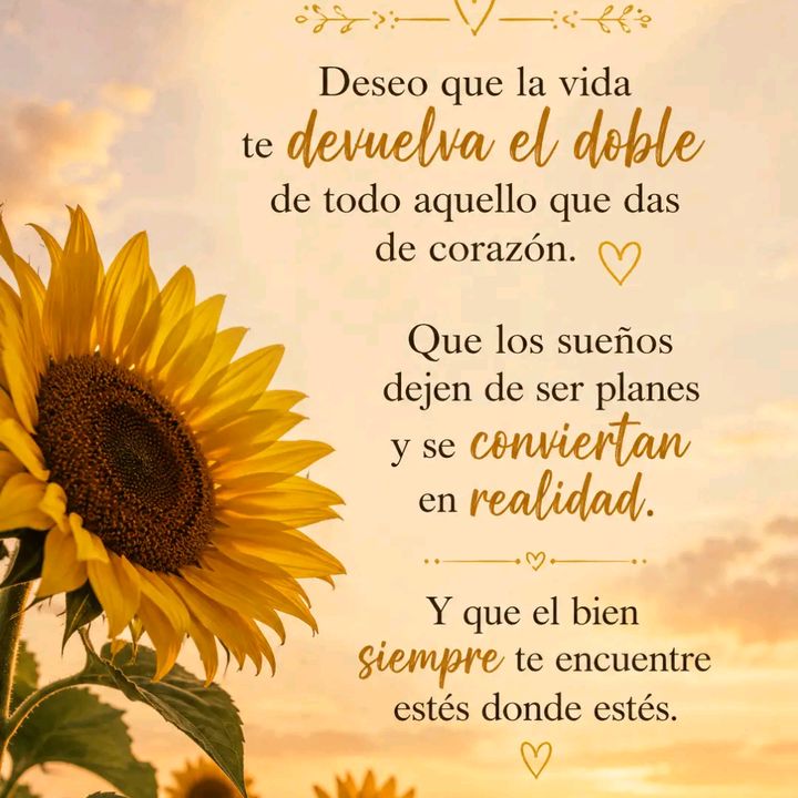 un día a la vez