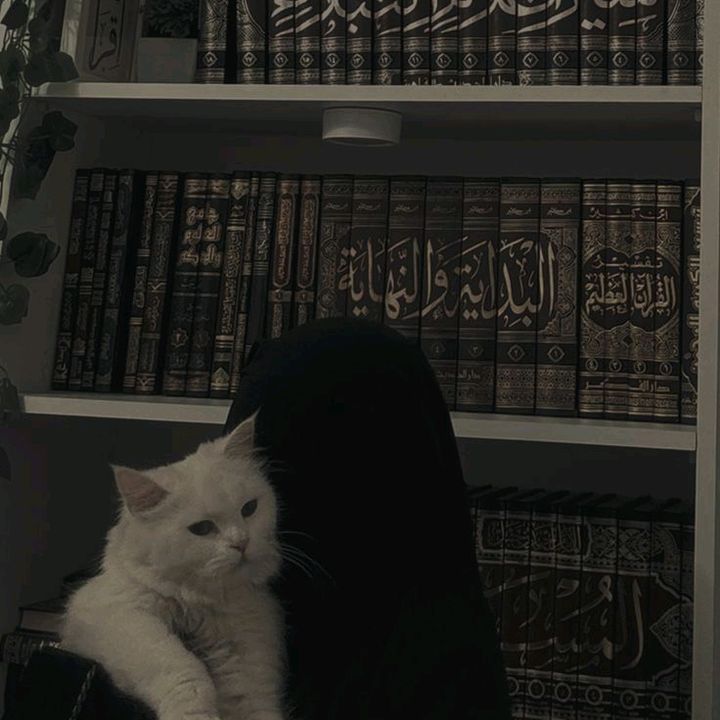 iqbal🇬🇧🇬🇧
