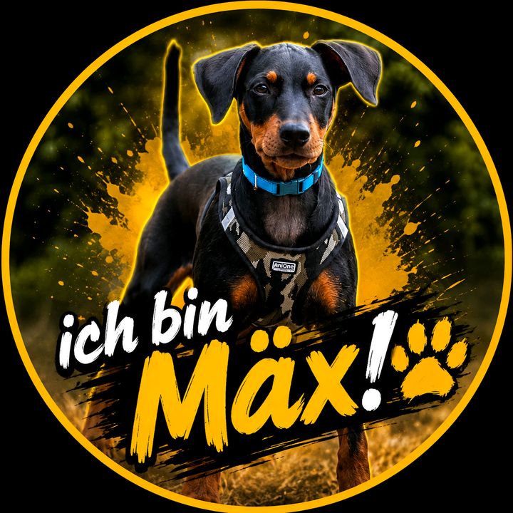 HeyMäx