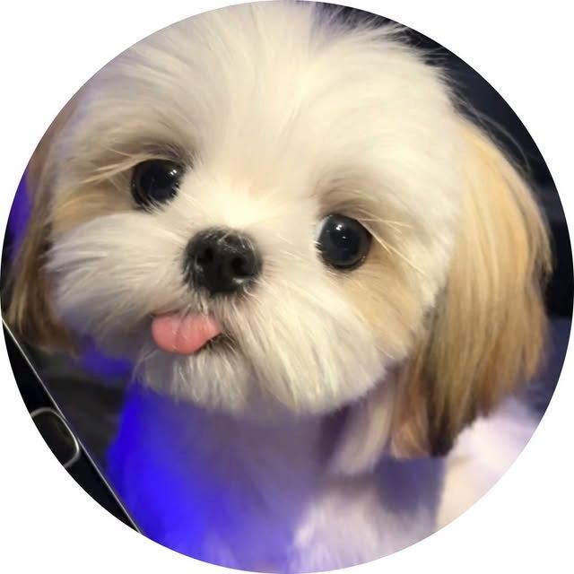 ルイ社長【TV出演しました】