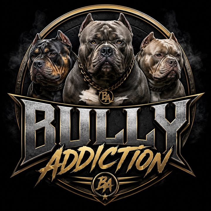 Bully Addiction