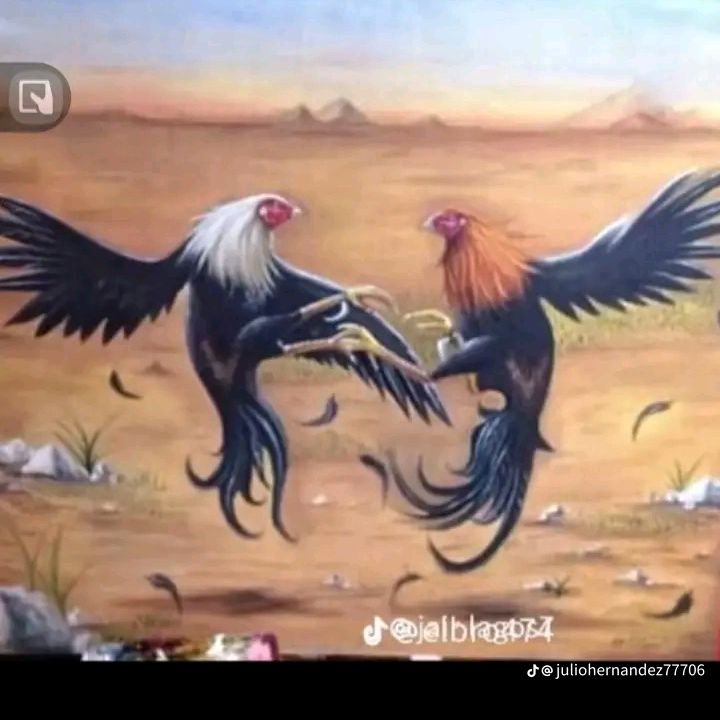 🤠Sánchez 😮‍💨🐓