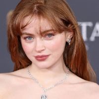 tiger26588853
