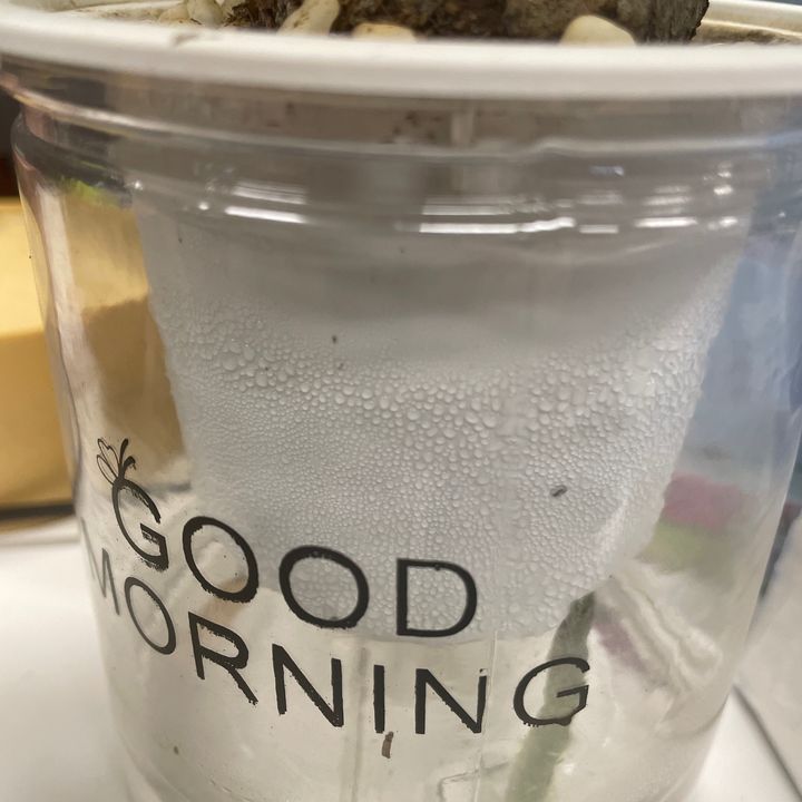 Baodan