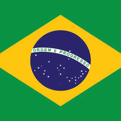 Apoie o Capitão Bolsonaro