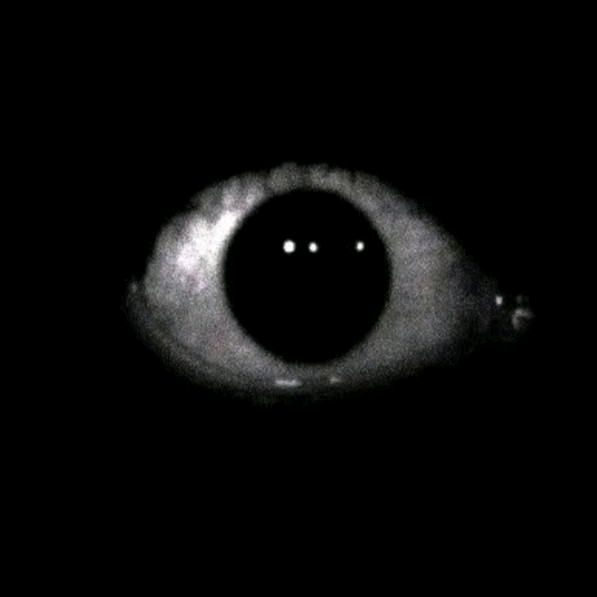 THE VOID