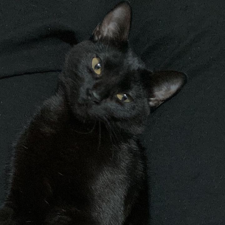 Azazel