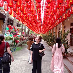 Thảo Chói Chang