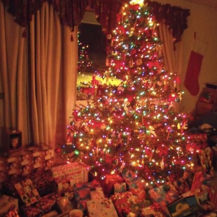 Riley 🎄 | Christmas Travel