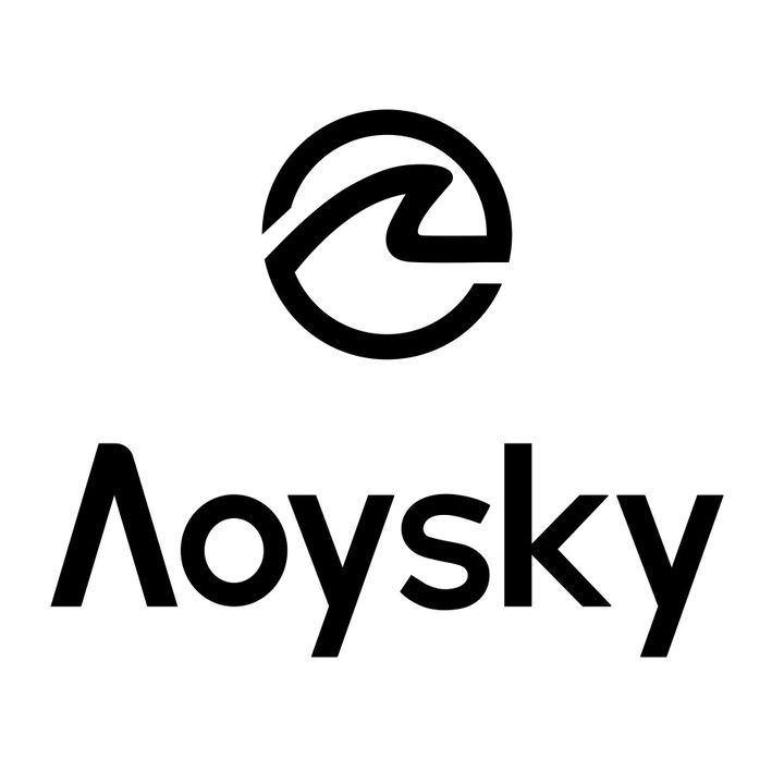 aoysky_style