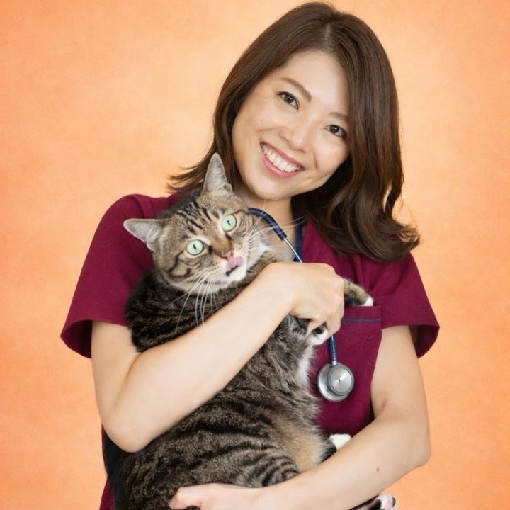獣医さや先生の猫学ゼミ
