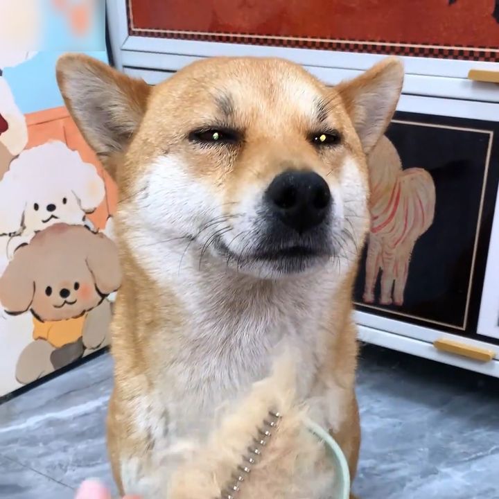 QwQ
