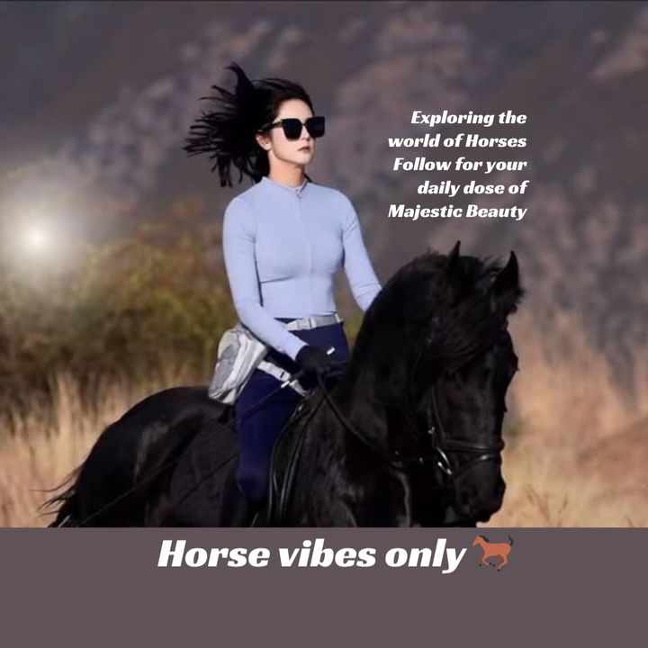Horse verse 🐎