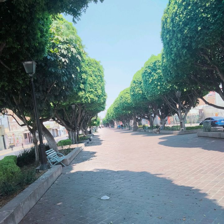 se vale soñar