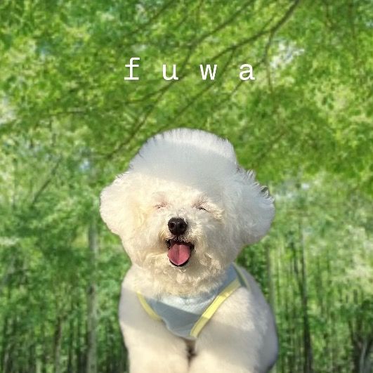 ふわ🐻‍❄️🐾