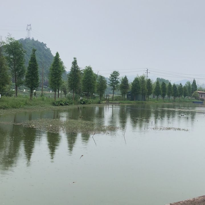 TruongHao