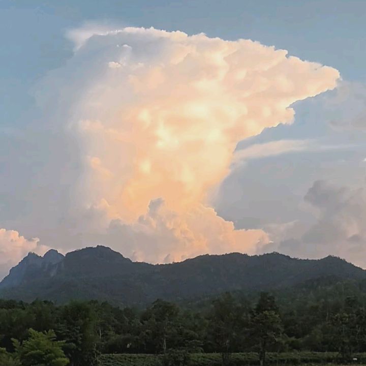 ชีวิตบ้านบ้าน ทำเกษตร