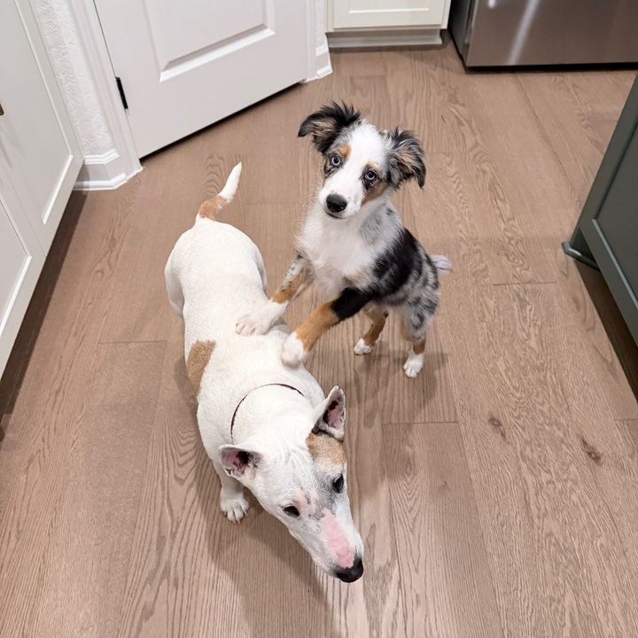 Mina and Koe♥️