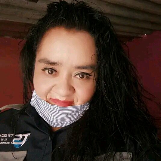 sany