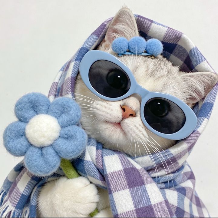 Cute Stitch