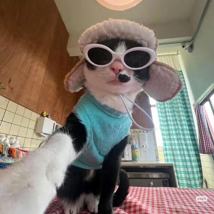 Tdhucgji2