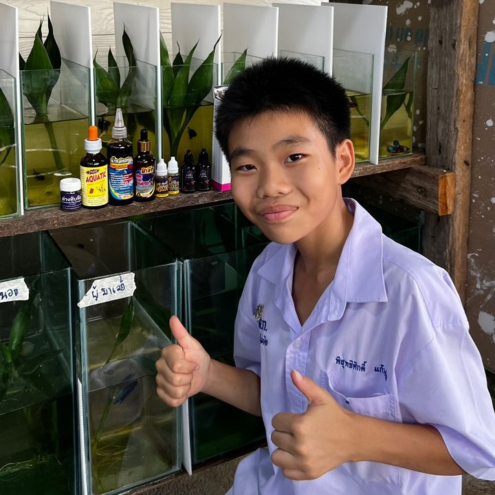 ปลากัดหลังบ้าน 🐟🏡