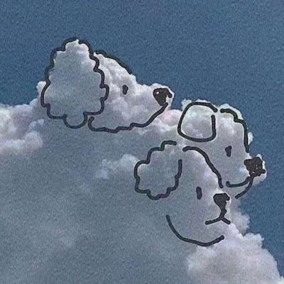 SkyWalkerLife