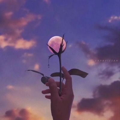 LilyStory