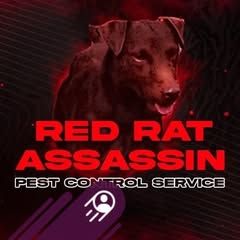 Red Rat Assassin Pest control