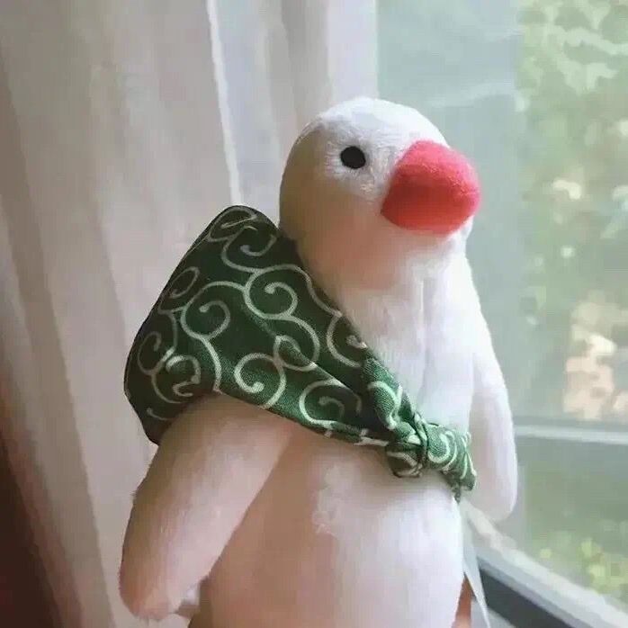kgwbwoftnvvikuq