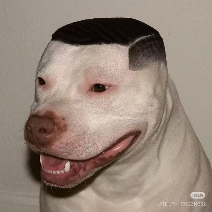 hsngkhnh606