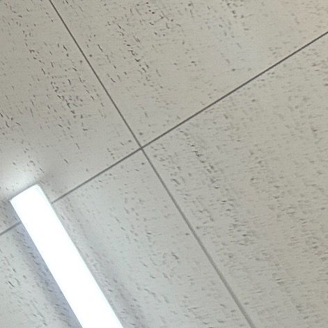 ひひ
