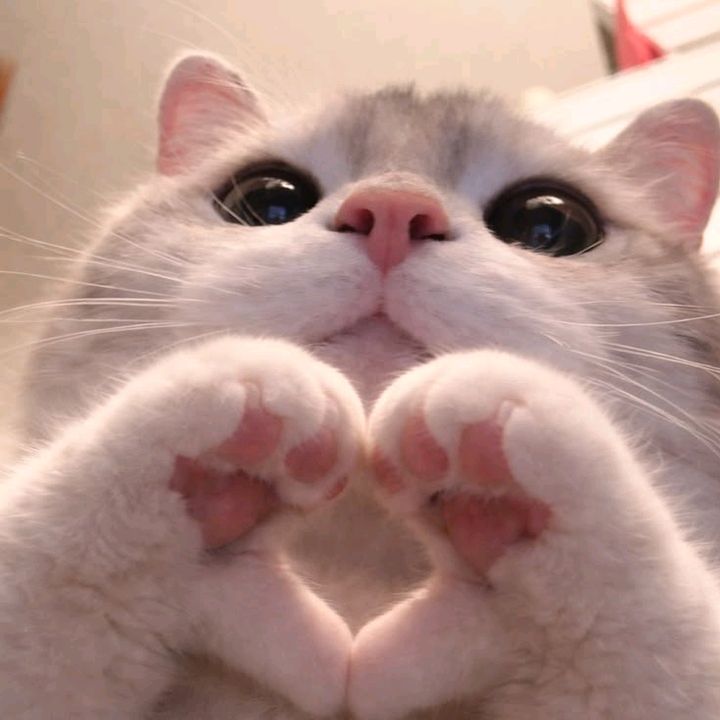 nataliaastrlz