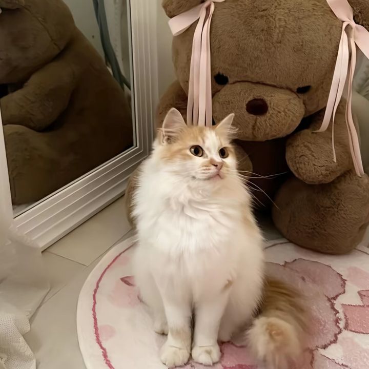 missrara