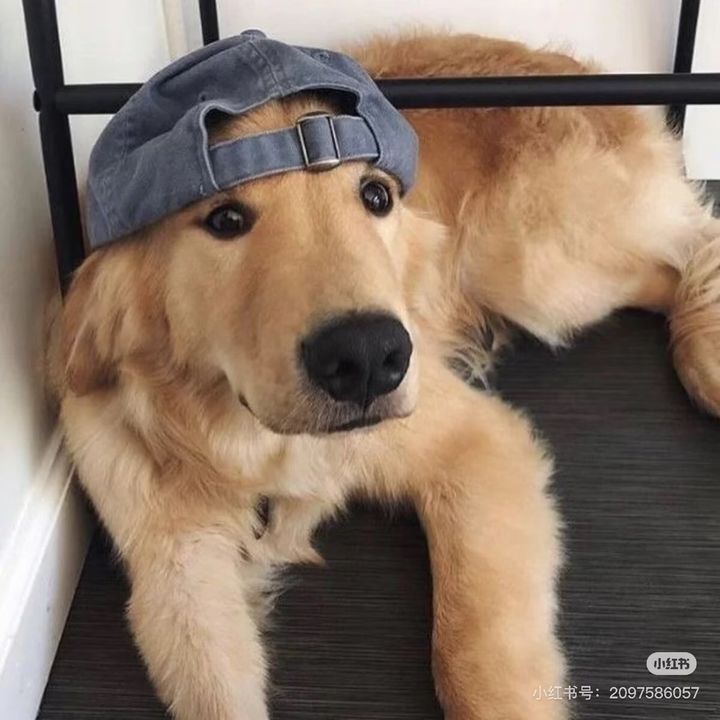 My