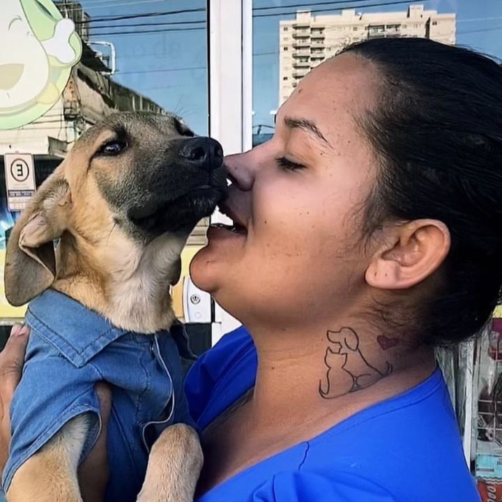 aiane.catsdogs
