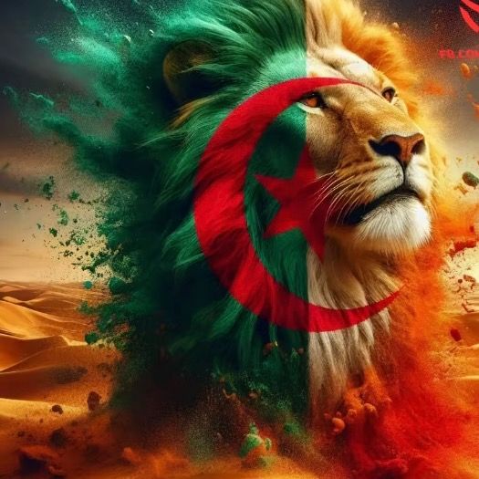 فارس شاوي 04 🇫🇷