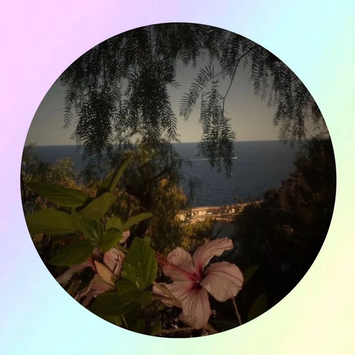 ℳ🌸